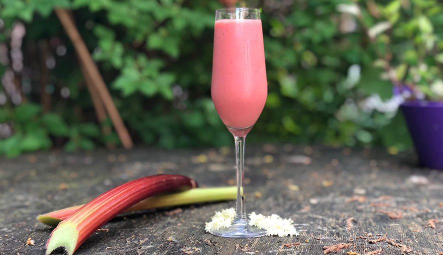 strawberry and rhubarb smoothie
